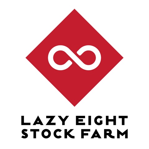 Lazy-Eight-stacked-vertical